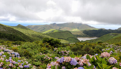 Flores, Azores - the green paradise in the Atlantic Ocean
The highlands of Flores
Fascinating sea world, crater lake