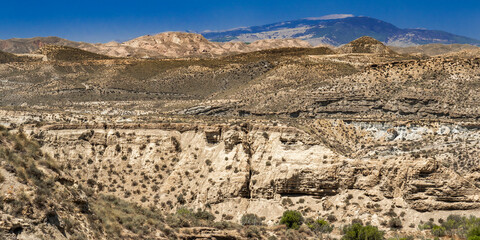 Tabernas Desert Nature Reserve, Special Protection Area, Hot Desert Climate Region, Tabernas, Almería, Andalucía, Spain, Europe