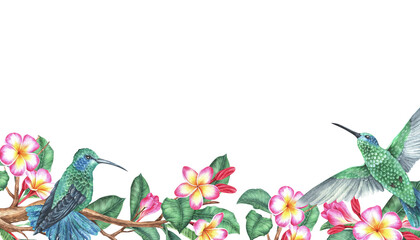 Watercolor illustration. Hummingbirds with blooming plumeria branch. Tropical exotic birds and frangipani. Isolated on a white background. Rectangular space for text with a picture below