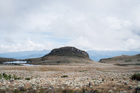 Rocky paramo landscape with fog in a cloudy day