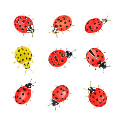Ladybug, red insect, beetle, bugs, yellow ladybug, watercolor illustration	