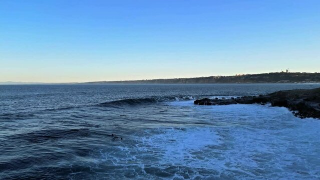 Drone shot of Sea lions playing and jumping early in the morining with waves splashing in foreground in La Jolla, California during king tide.