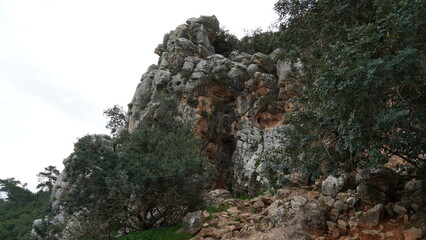 Landscape in Nahal (creek) Oren, at the west side of Mount Carmel