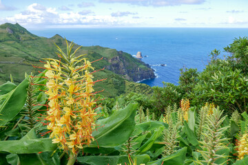 Flores, Azores - the green paradise in the Atlantic Ocean
Pure nature on Flores island, it doesn't...