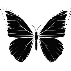 butterfly silhouette vector Butterfly svg, Butterfly vector illustration, butterfly logo