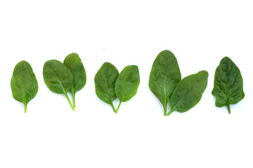 Spinach leaves. Extremely nutrient-rich vegetable