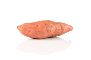 Sweet potato on the white background