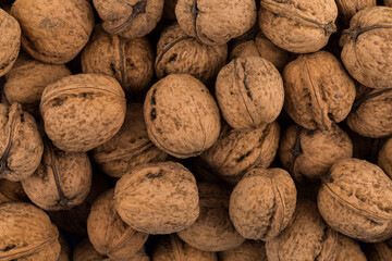 Walnut nut closeup