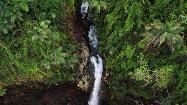 Waterfall in the mountains of Sarchi in Costa Rica, a place with a great climate perfect to visit with the family.