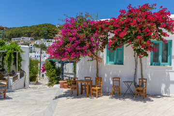 Fototapeta na wymiar Traditional Cycladitic alley with a narrow street, whitewashed houses and a blooming bougainvillea in lefkes village, Paros island, Greece.