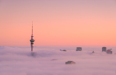 Auckland Fog - Powered by Adobe