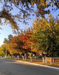 autumn in the city