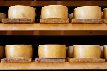 Shelves with world famous sheep milk hard cheese, Pag island, Croatia - 570225674
