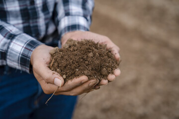 Farmers' expert hands check soil health before planting vegetable seeds or seedlings. Business idea or ecology.