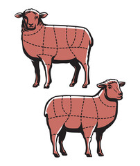 Lamb cutting. Sheep meat chart cut guide for butcher shop or restaurant. Butchery cuts diagram vector illustration