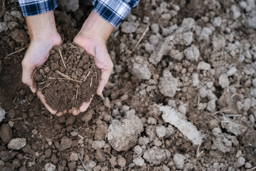 Farmers' expert hands check soil health before planting vegetable seeds or seedlings. Business idea or ecology.