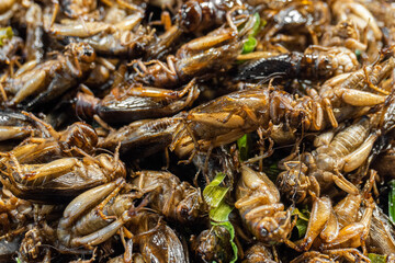 marco boiled grass hopper insect with vegetable in street food of Asia