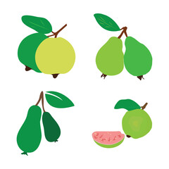 guava icon