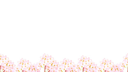 桜の花の背景フレーム素材。水彩風イラスト。