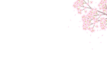桜の花の背景フレーム素材。フラットなベクターイラスト。 Full bloom cherry blossoms. Flat designed vector background frame illustration.