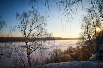 Sunrise on winter morning and trees with bare branches on a cold sunny time and snow on field