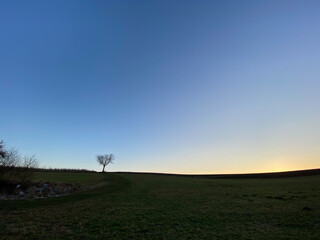 Obraz na płótnie Canvas Winterstimmung, Silhouette eines einzeln stehenden Baums ohne Blätter. Himmel im Abendrot, mit rotem Horizont.