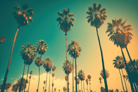 Low angle shot of palm trees in Los Angeles. retro tone. Generative AI