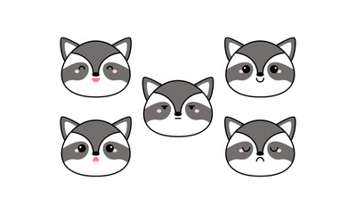 Cute Raccoon with Many Expressions