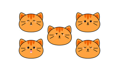 Cute Cat with Many Expressions