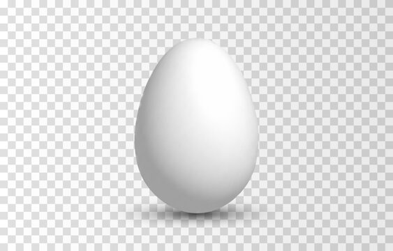 Vector egg png. Realistic egg on isolated transparent background. Easter.