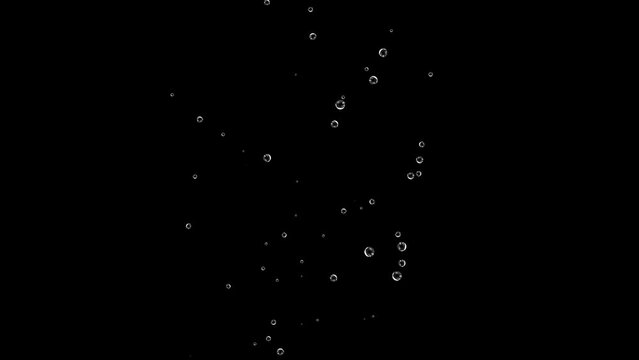 Slow rising air bubbles. Underwater bubbles animation. Overlay. Black background. 25fps