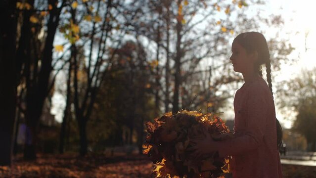 Pretty girl of school age with long hair braided in braids, throwing up an armful of yellow autumn leaves and spinning while they fall on a walk in city park. Silhouette at sunset. 200 fps slow motion