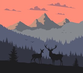 Fototapeta na wymiar deer in the mountains