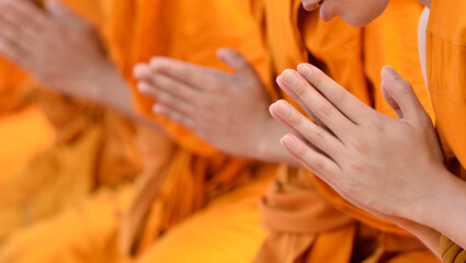Pray of monks hand on ceremony of buddhist in India. Many Buddha monk sit prepare to pray and doing Buddhist ceremony. - obrazy, fototapety, plakaty