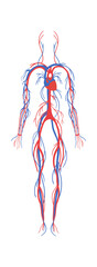 Nervous system flat icon Human anatomy