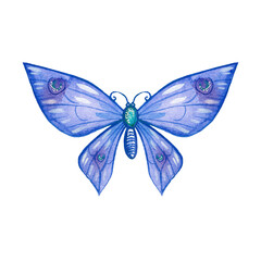 Fototapeta na wymiar Dreamy watercolor colorful butterfly illustrations