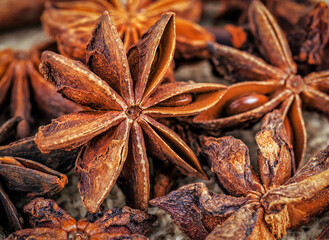 ripe anise star with seed as a texture