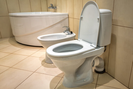 white faience bide and toilet bowls for a stylish interior