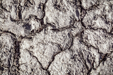 texture of dried cracked soil