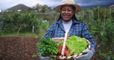 Happy african senior woman holding basket with fresh vegetable - Garden and harvest concept - Powered by Adobe