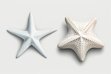 stone carved starfish