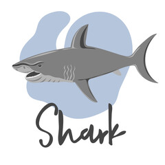 Shark swimming in water. Marine dweller. Concept of sea and ocean life. Vector illustration