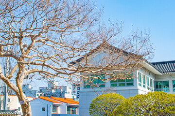 Roofer at work, installing clay roof tiles,Construction roofer installing roof tiles at house building site