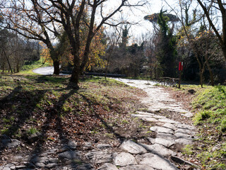 antica strada romana nei boschi