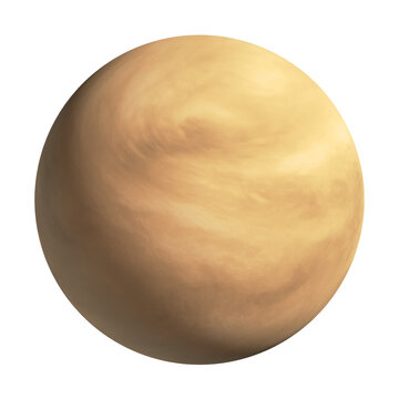 isolated realistic Venus illustration