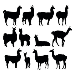 Alpaca llama animal silhouette cutting stencil templates - 570282015