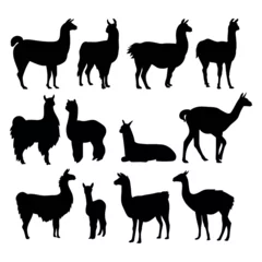 Foto auf Alu-Dibond Alpaca llama animal silhouette cutting stencil templates © Elenapro