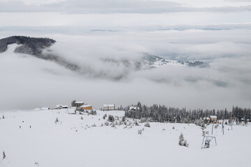 Dragobrat, Ukraine mountain landscape with fog and fir trees.