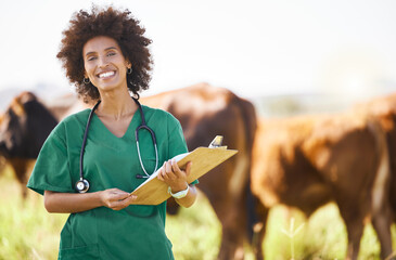 Vet doctor or black woman with cattle farming, agriculture or food industry for healthcare check,...