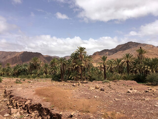 Desert and mountainous landscape of Morocco where there is an oasis surrounded by palm trees.